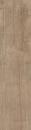 Ragno Woodstyle acero ret 30x120 cm